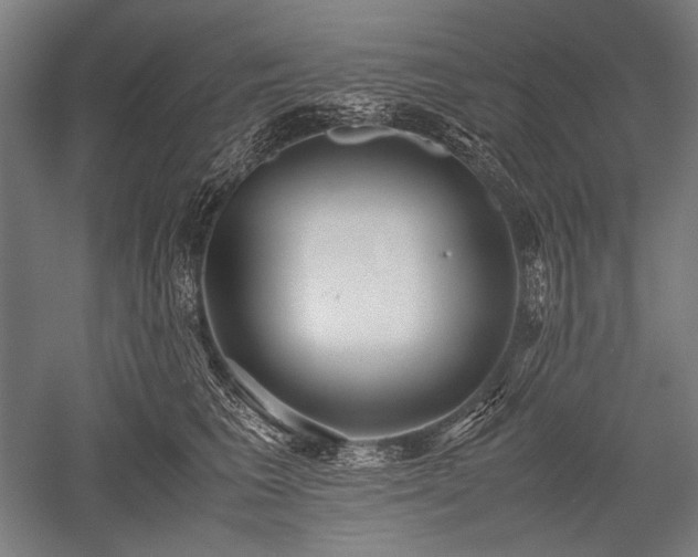 X0000052550613200507081611