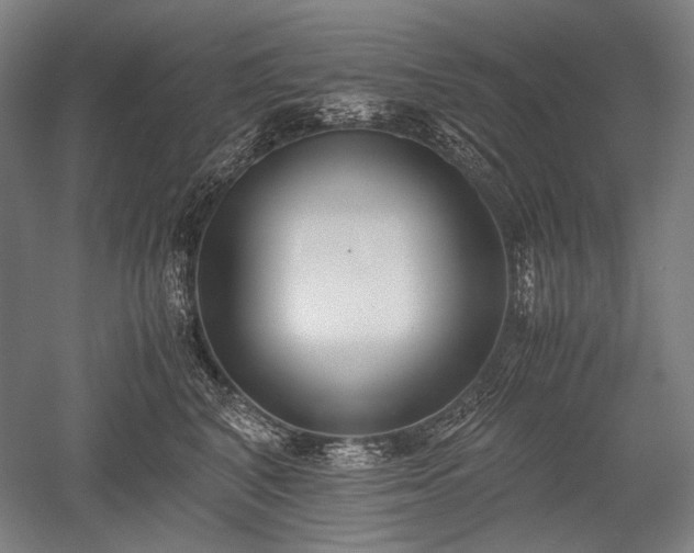 X0000052550616200507081611