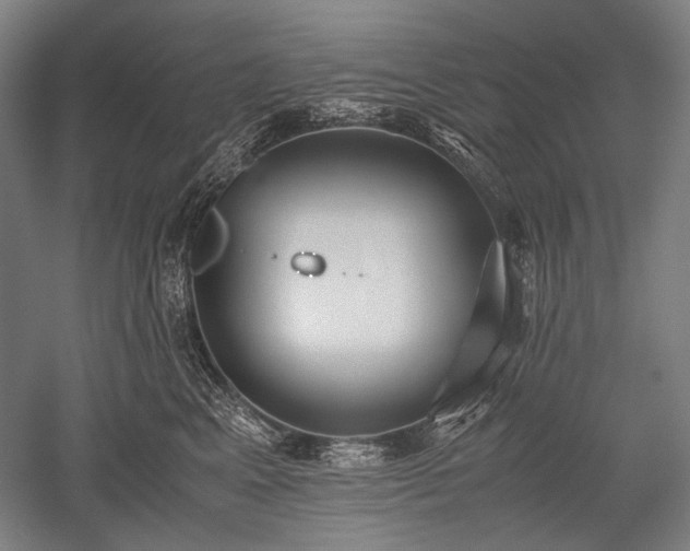 X0000052550617200507081611