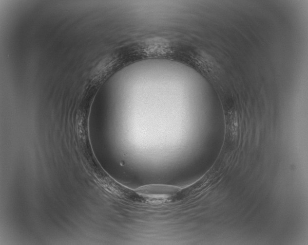 X0000052550619200507081611