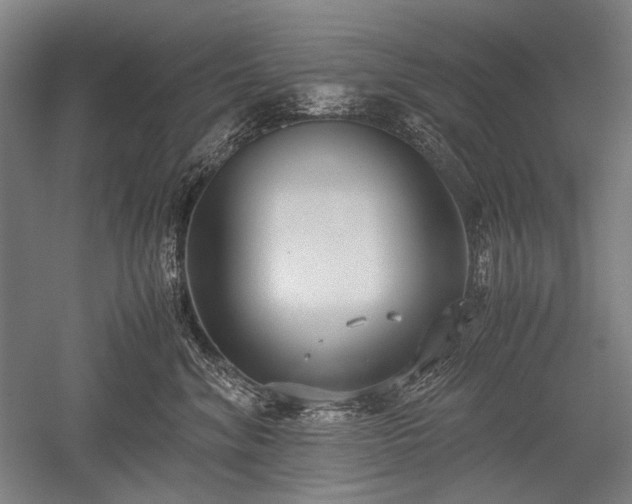 X0000052550620200507081611