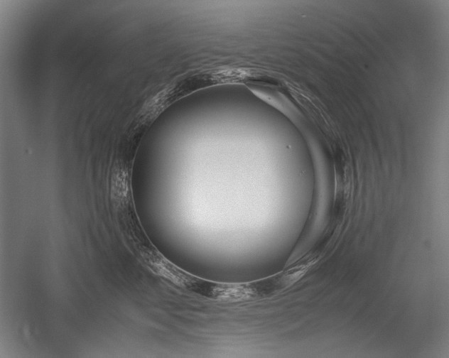 X0000052550621200507081611