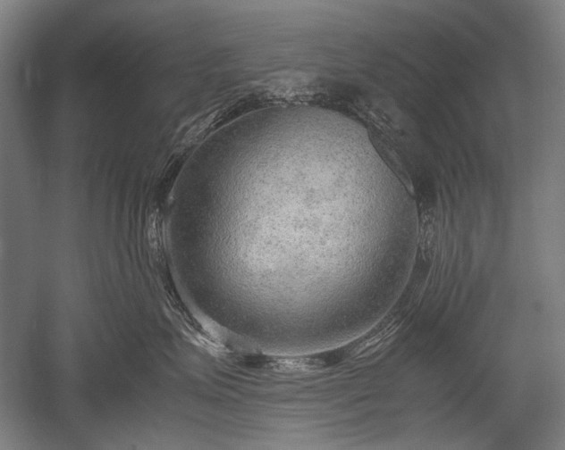 X0000052550623200507081611