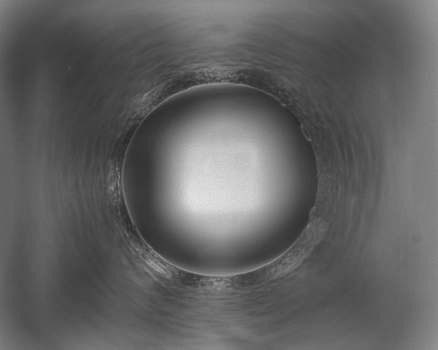 X0000052550624200507081611