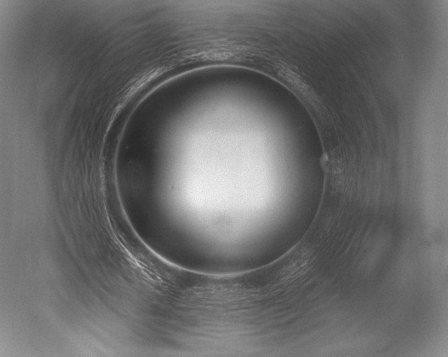 X0000052550626200507081610