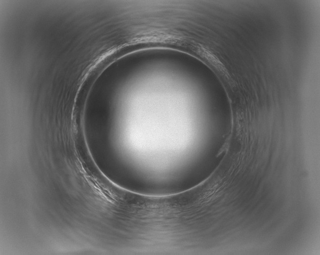 X0000052550628200507081610