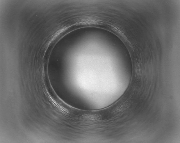 X0000052550629200507081610