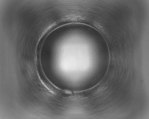 X0000052550630200507081610