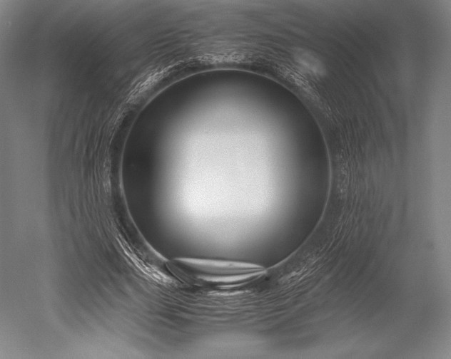 X0000052550631200507081610