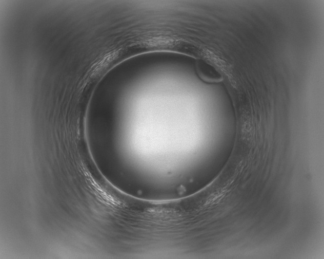 X0000052550633200507081610