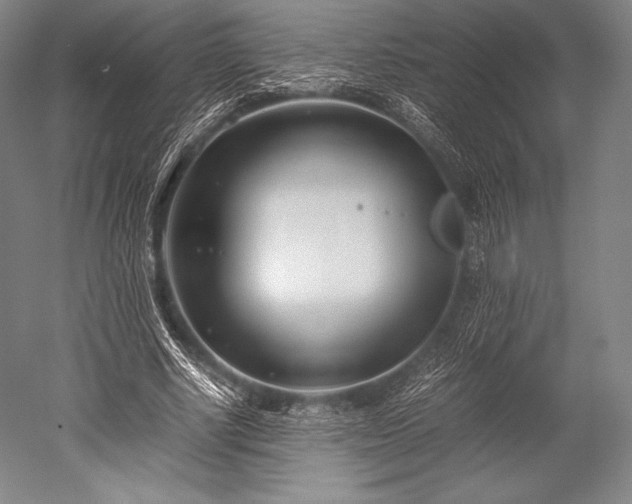 X0000052550634200507081610