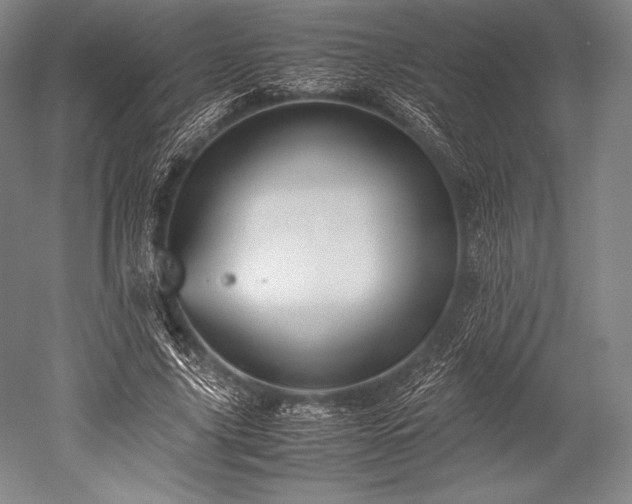 X0000052550635200507081610