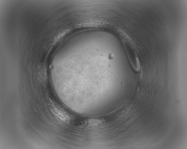 X0000052550636200507081610