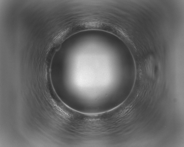 X0000052550637200507081610