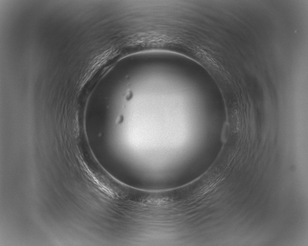 X0000052550638200507081610