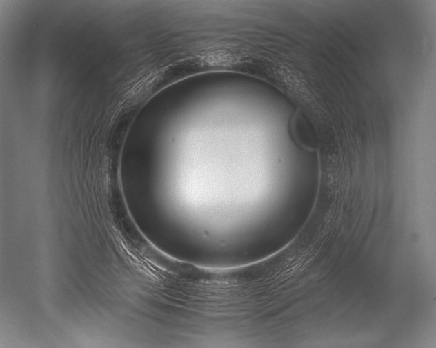 X0000052550639200507081610