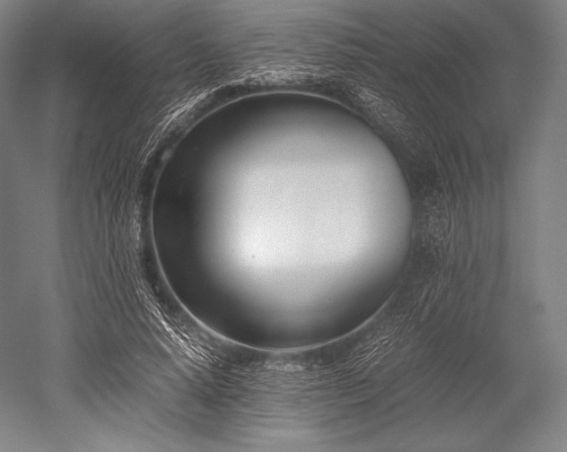 X0000052550640200507081610