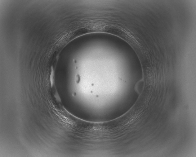 X0000052550641200507081610