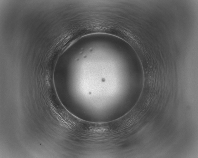 X0000052550643200507081610