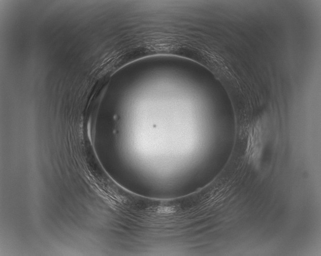 X0000052550647200507081610