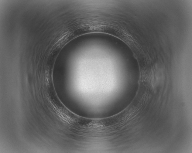 X0000052550648200507081610