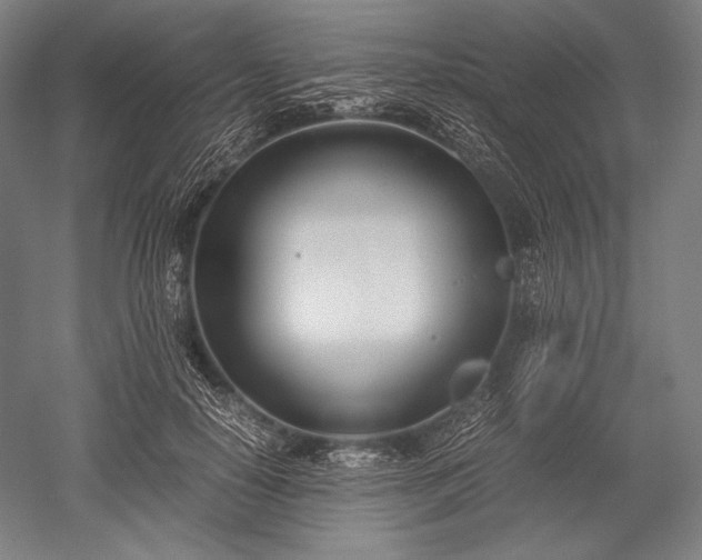 X0000052550650200507081610