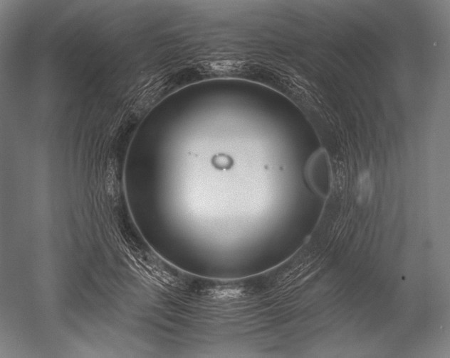 X0000052550651200507081610