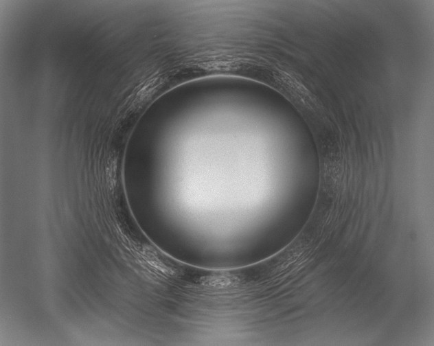 X0000052550652200507081610