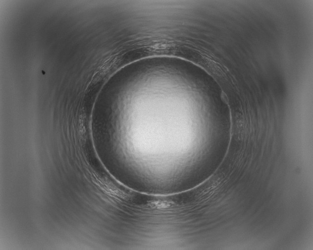 X0000052550654200507081610