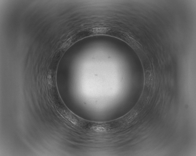 X0000052550655200507081611