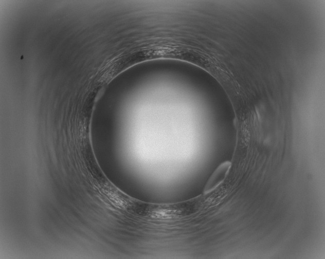 X0000052550657200507081611