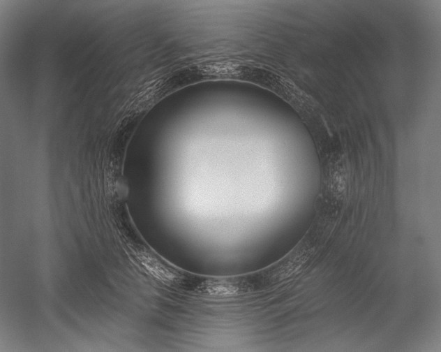 X0000052550658200507081611