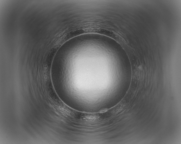 X0000052550659200507081611