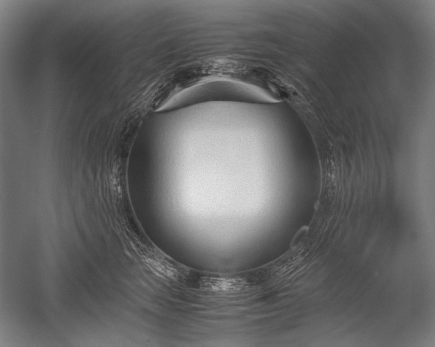 X0000052550663200507081611