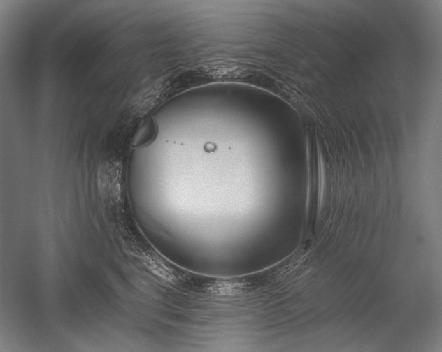 X0000052550664200507081611