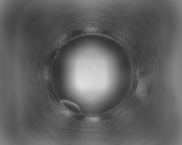 X0000052550665200507081611