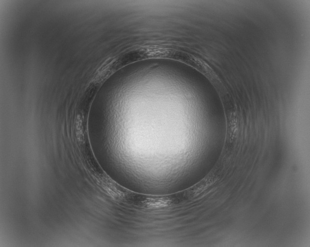 X0000052550667200507081611