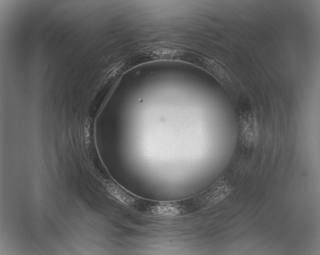 X0000052550668200507081611