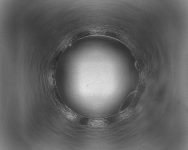 X0000052550671200507081611