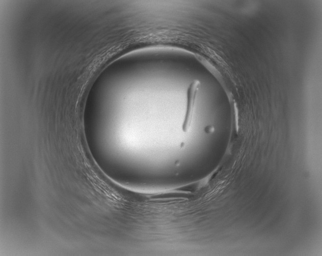 X0000052550673200507081610