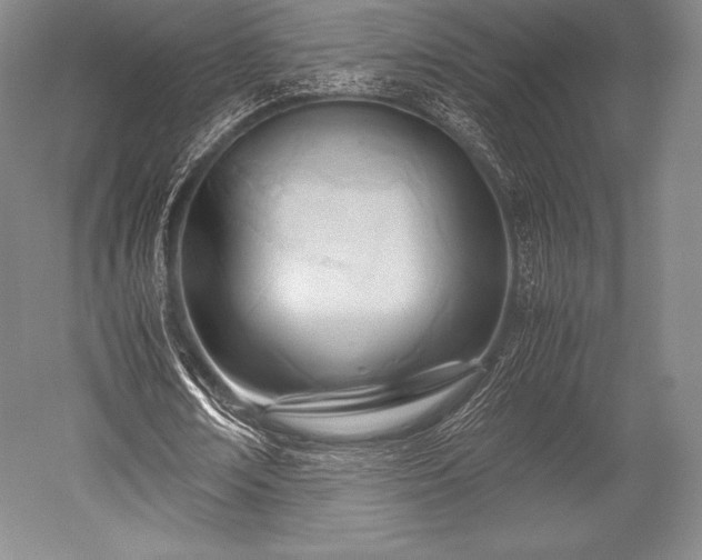 X0000052550674200507081610