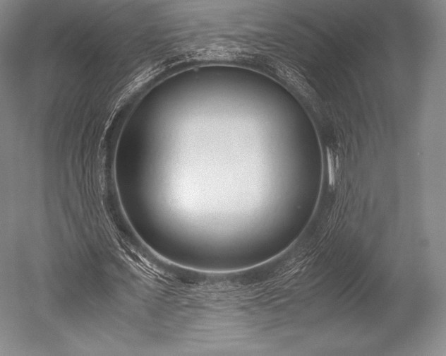 X0000052550675200507081610