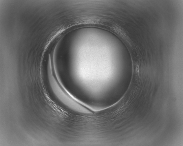 X0000052550676200507081610