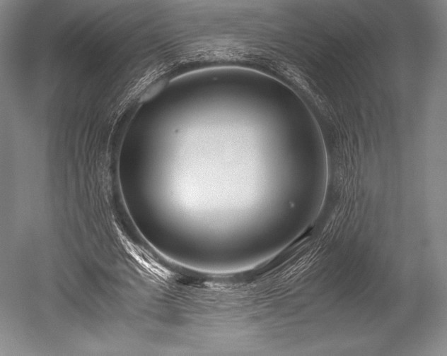 X0000052550677200507081610