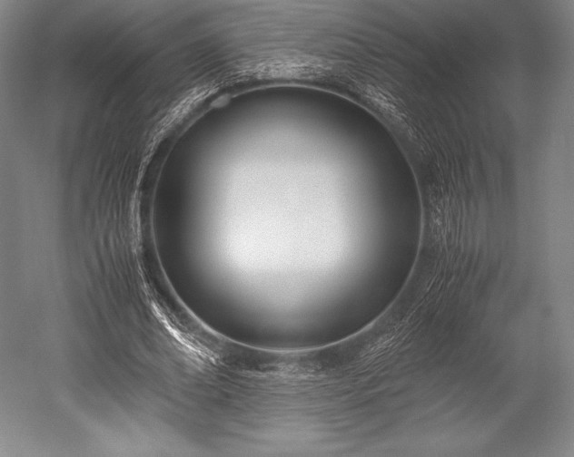 X0000052550678200507081610