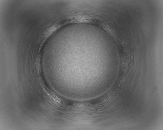 X0000052550679200507081610