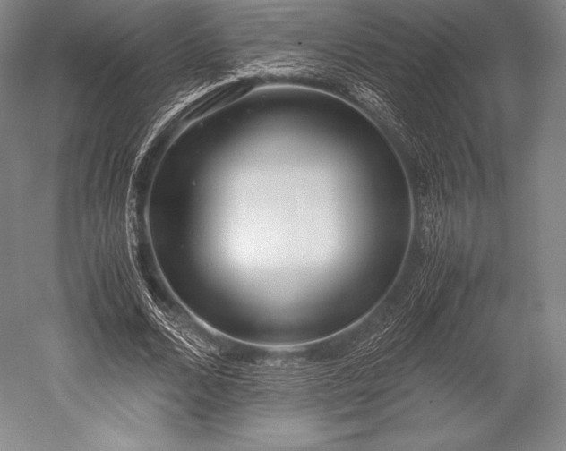 X0000052550680200507081610