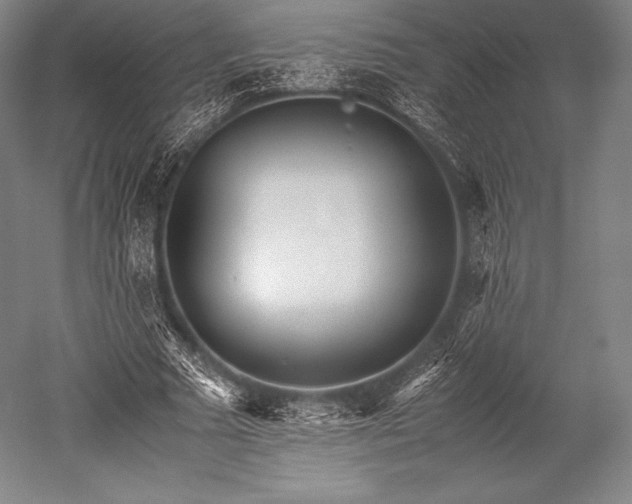 X0000052550681200507081610