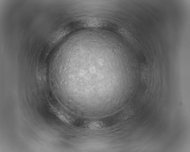 X0000052550683200507081610