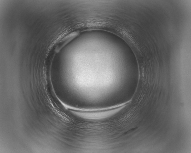 X0000052550684200507081610